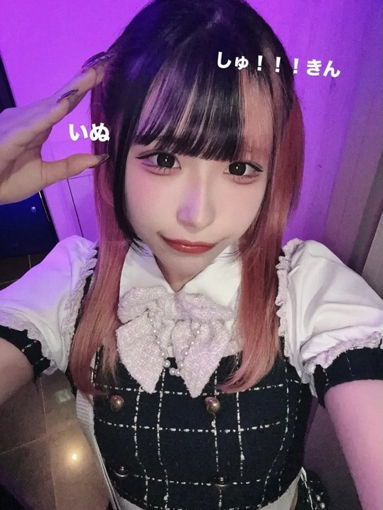 よんよんいます！
