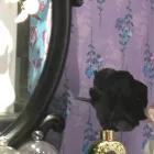 清楚系
